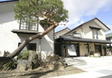 有賀醸造合資会社