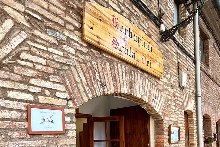 ハーバリウム スカラ デイ（イメージ）