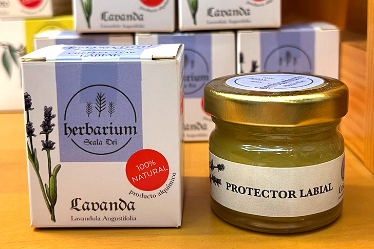 ハーバリウム スカラ デイ（イメージ）