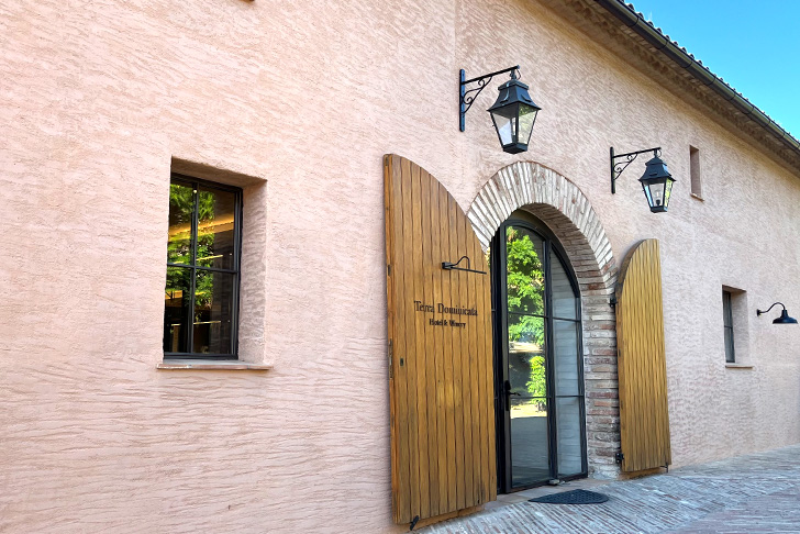 テラ ドミニカータ（イメージ）