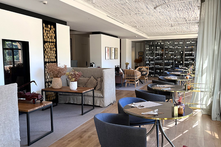 テラ ドミニカータ（イメージ）