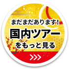 まだまだあります！国内ツアーをもっと見る