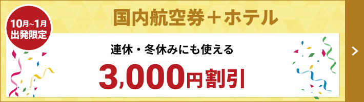 12月26日 発送分 chiba 様 専用(*^^*)