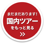 まだまだあります!国内ツアーをもっと見る