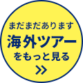 まだまだあります！海外ツアーをもっと見る