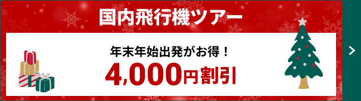 【国内飛行機ツアー】年末年始出発がお得！4,000円割引 詳しくはこちら