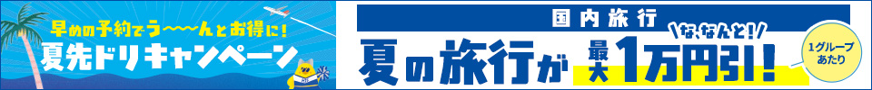 夏先ドリキャンペーンタイムセール