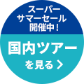 スーパーサマーセール開催中！国内旅行を見る
