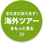 まだまだあります！海外ツアーをもっと見る