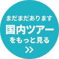 まだまだあります！国内ツアーをもっと見る