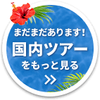 まだまだあります！国内ツアーをもっと見る