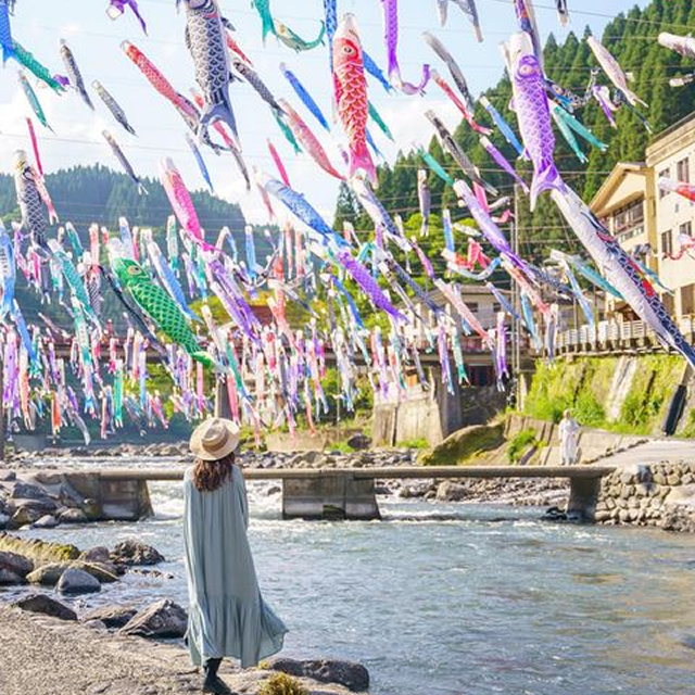 熊本県　杖立温泉　鯉のぼり祭り