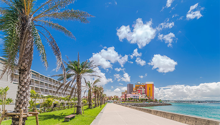 美浜アメリカンビレッジ（イメージ）