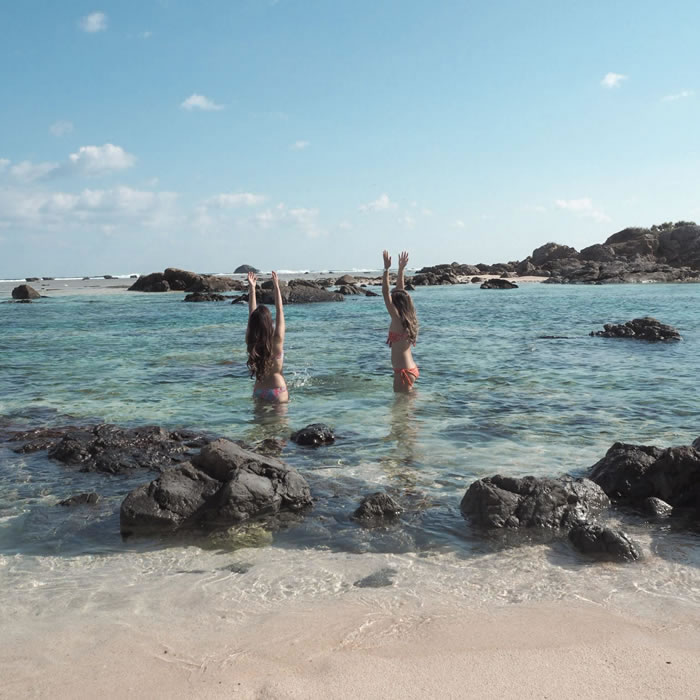 土盛海岸(イメージ)