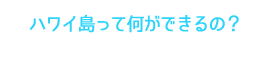 ハワイ島って何ができるの？