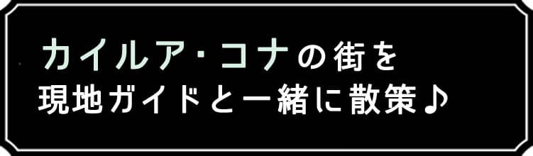 カイルア・コナの街を現地ガイドと一緒に散策♪