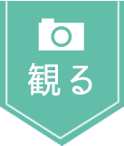 アイコン　観る