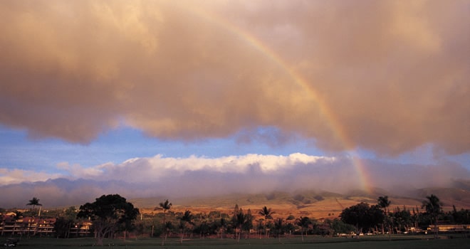 マウイ島の風景