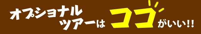オプショナルツアーはココがいい!!
