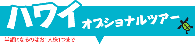 ハワイオプショナルツアー