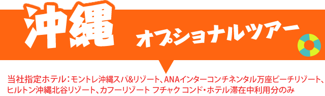 沖縄オプショナルツアー