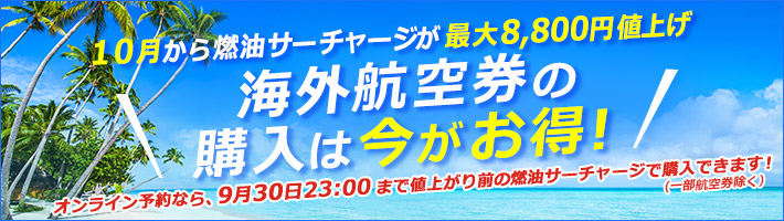 最大8,800円お得に！6月より燃油サーチャージは値下がりました！