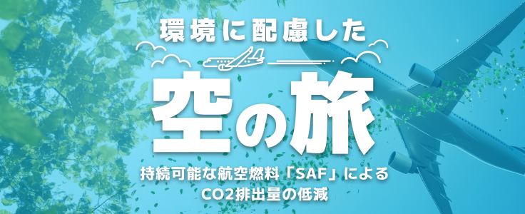 環境に配慮した空の旅