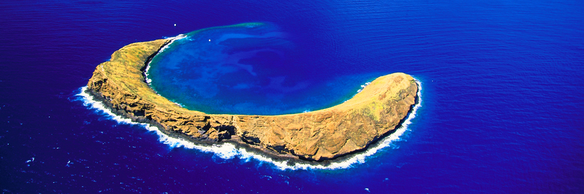 ハワイ モロキニ島