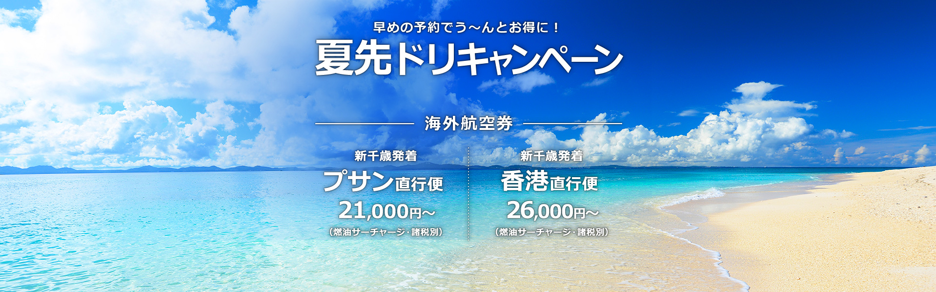 夏先ドリキャンペーン