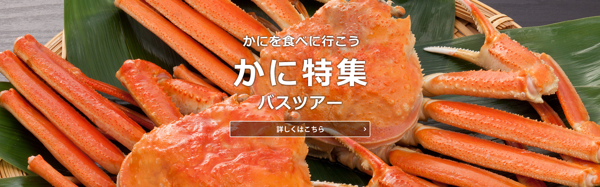 かにを食べに行こう　かに特集　バスツアー