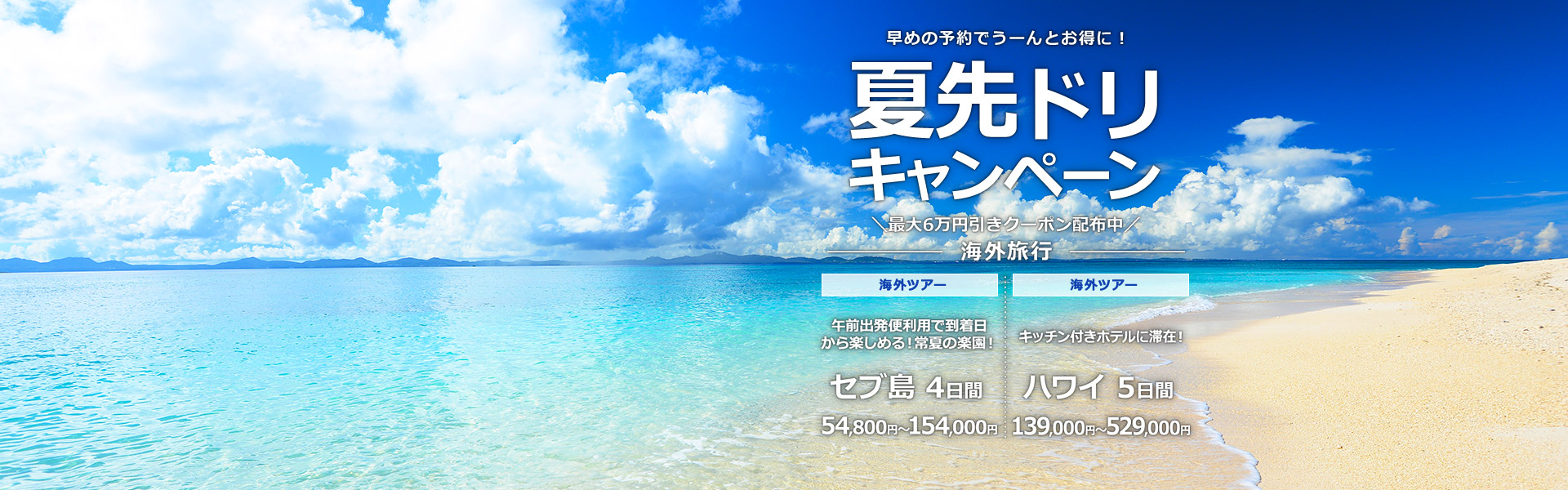 夏先ドリキャンペーン