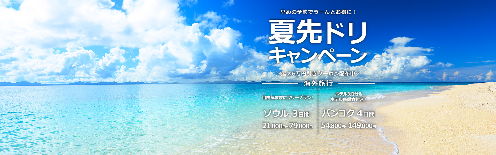 夏先ドリキャンペーン