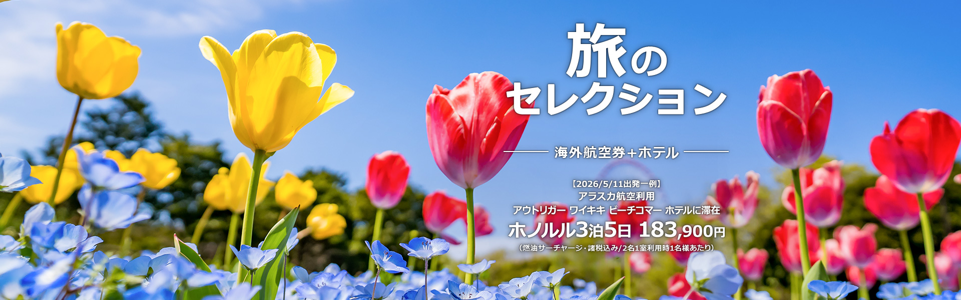 旅のセレクション