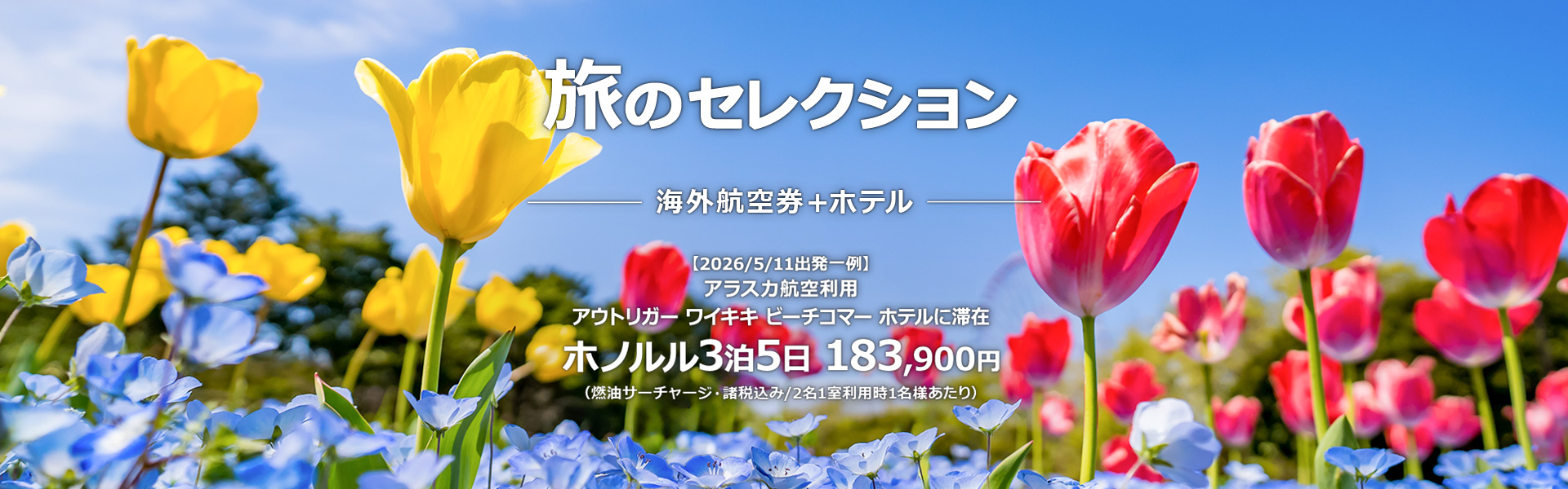 旅のセレクション