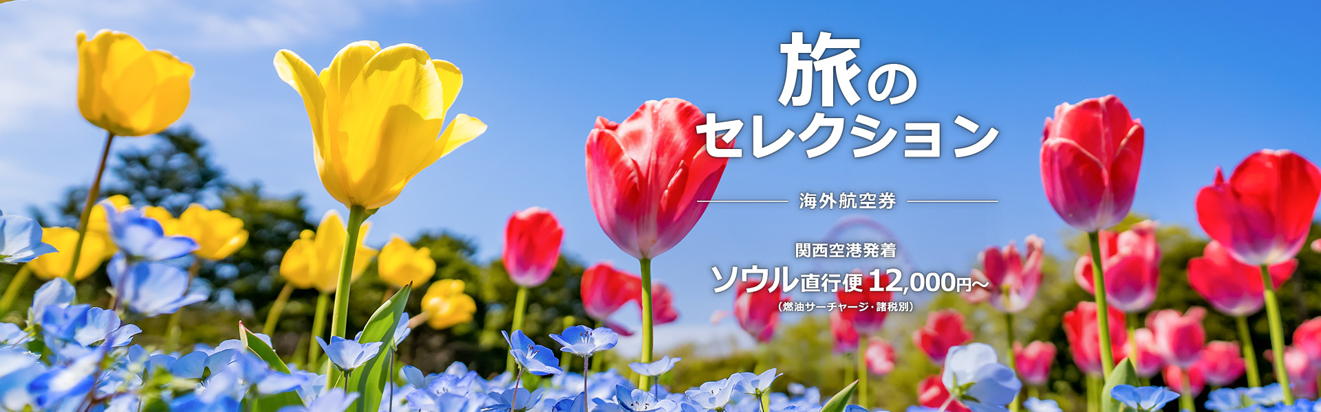 旅のセレクション