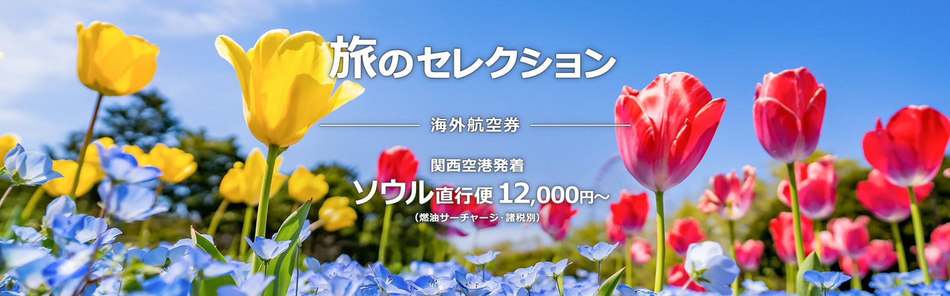 旅のセレクション