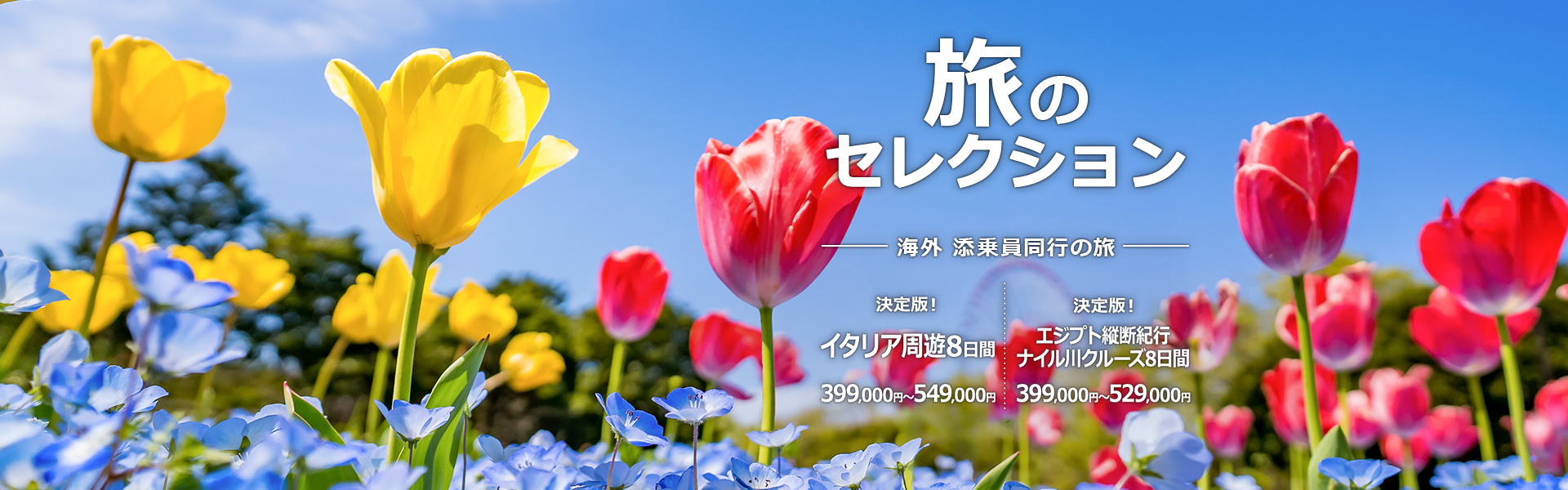 旅のセレクション