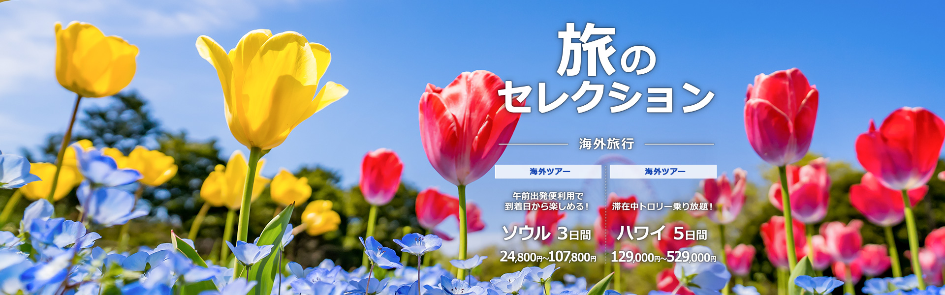 旅のセレクション