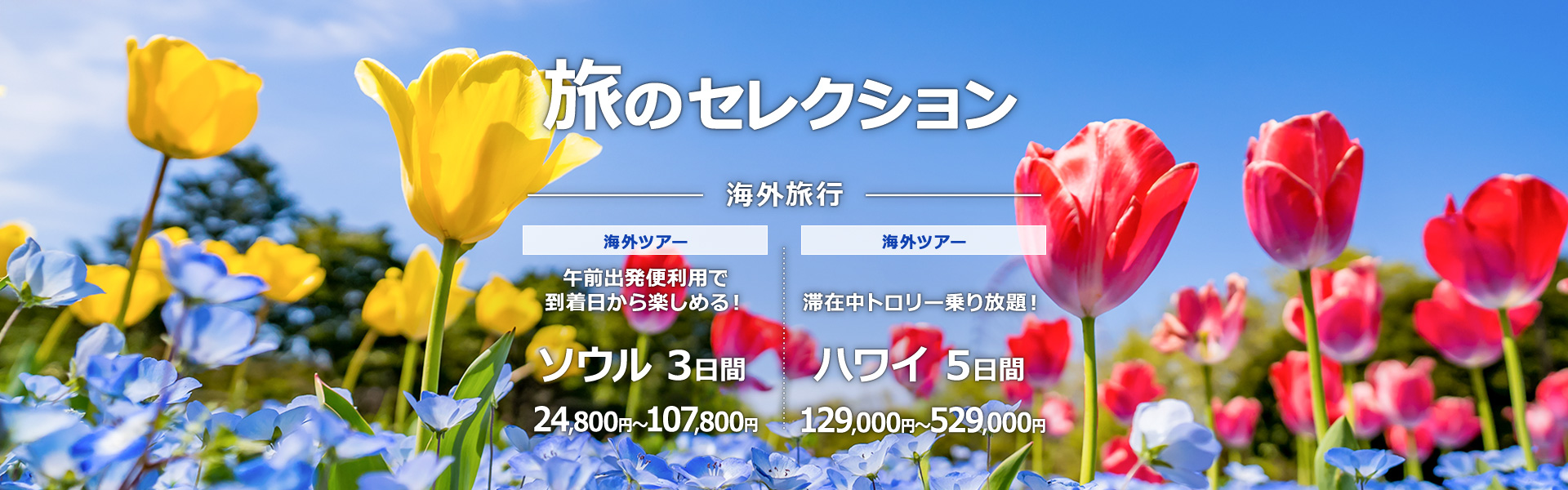 旅のセレクション