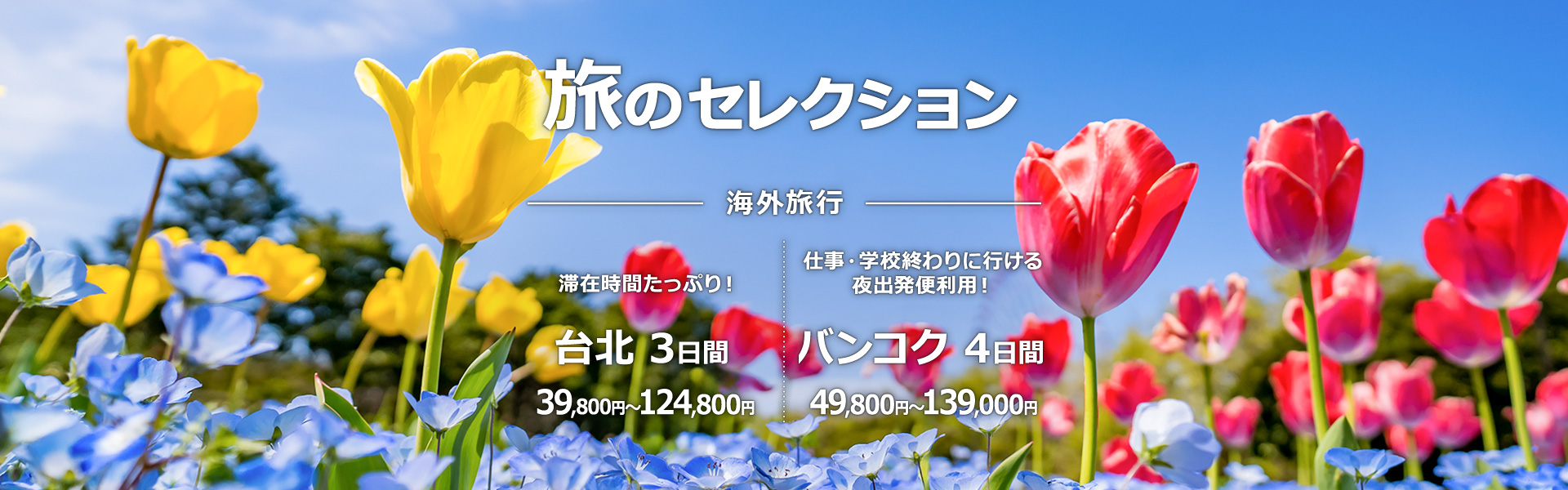 旅のセレクション