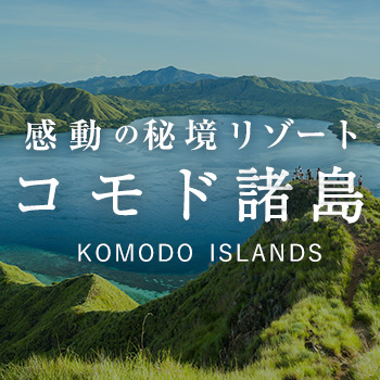 コモド諸島特集