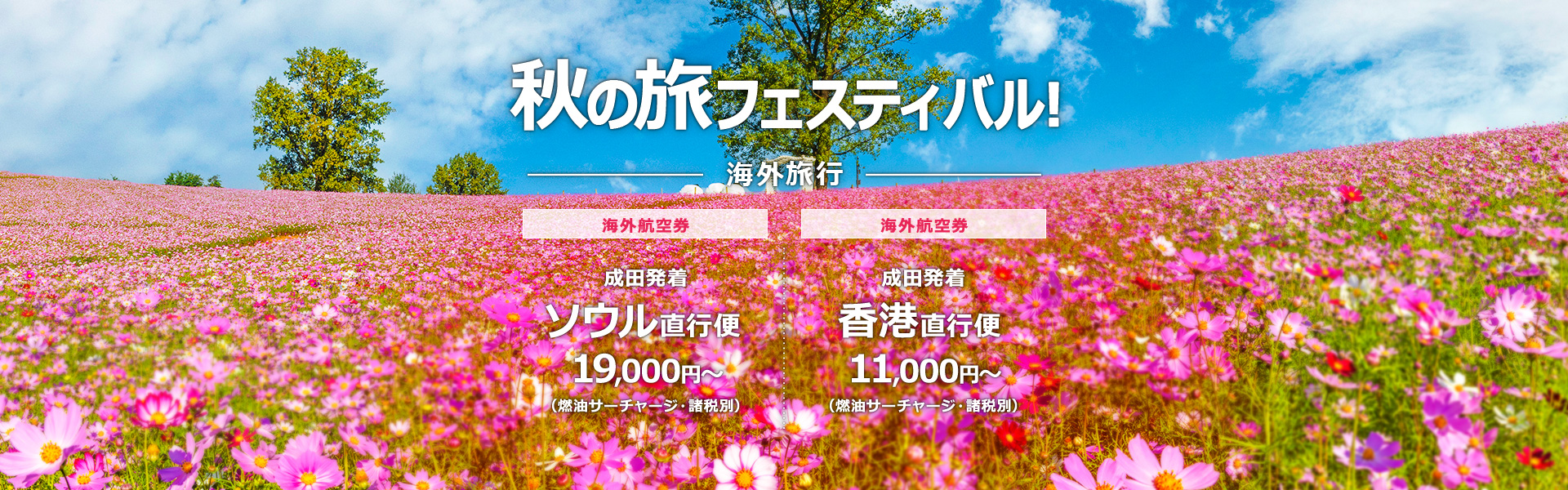 HIS】海外旅行・海外ツアーの予約サイト