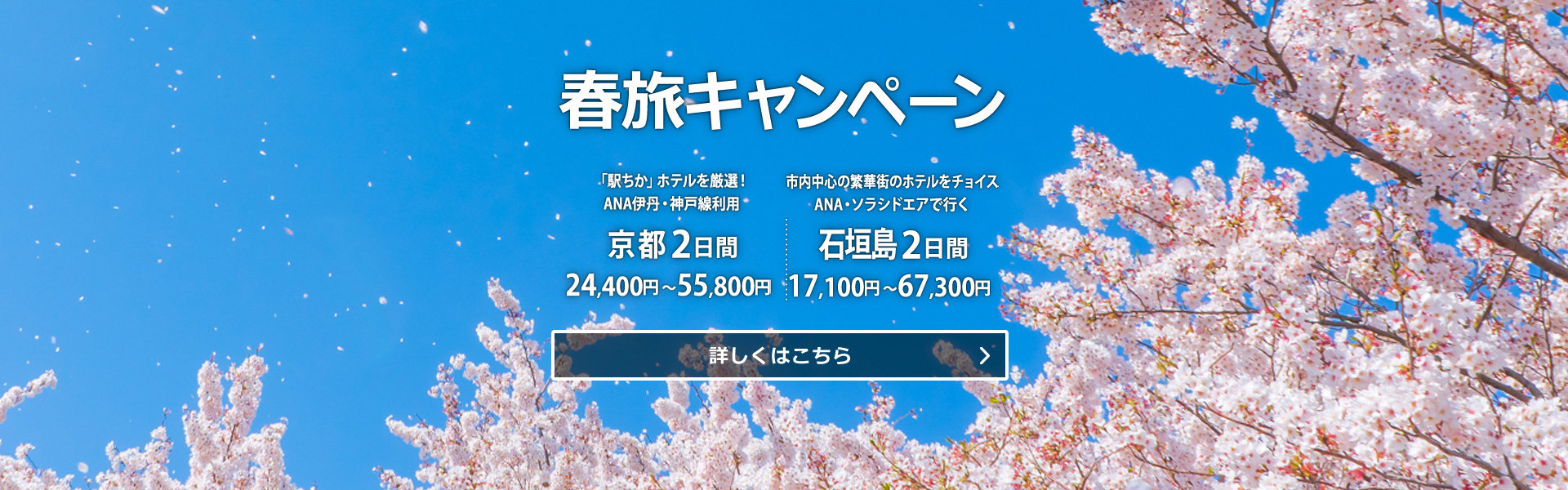 His 国内ツアーの予約サイト 沖縄発