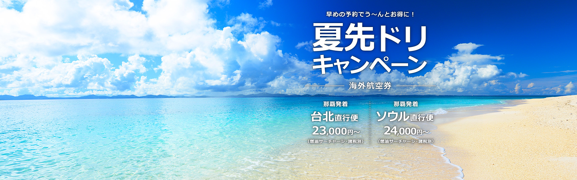 夏先ドリキャンペーン_海外