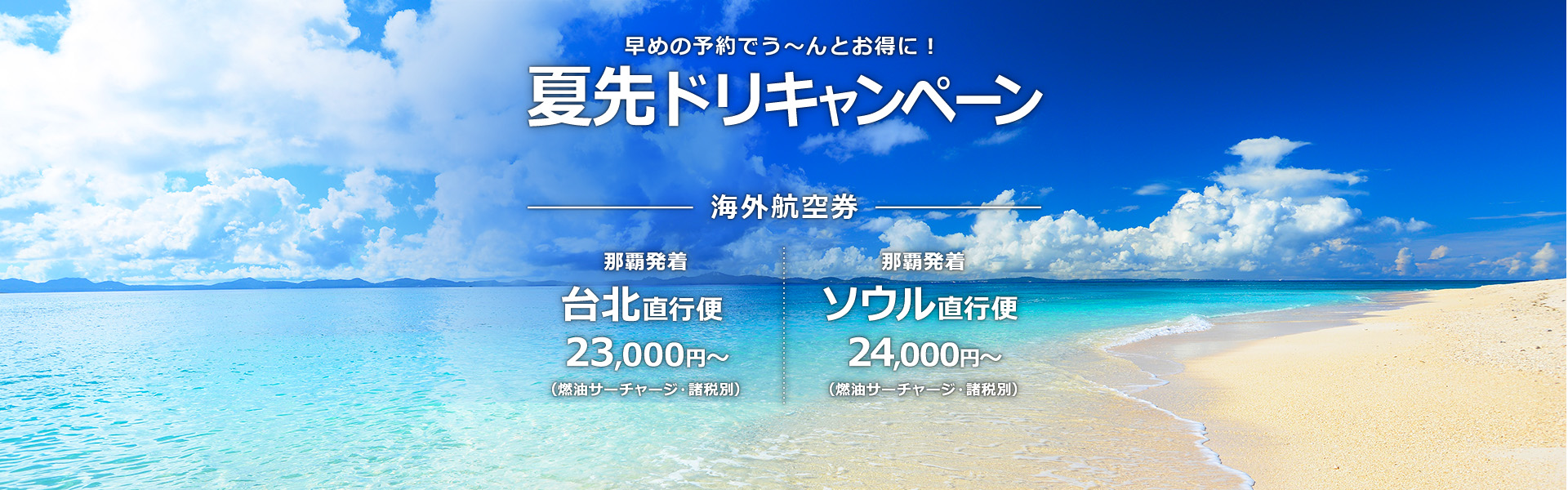 夏先ドリキャンペーン_海外