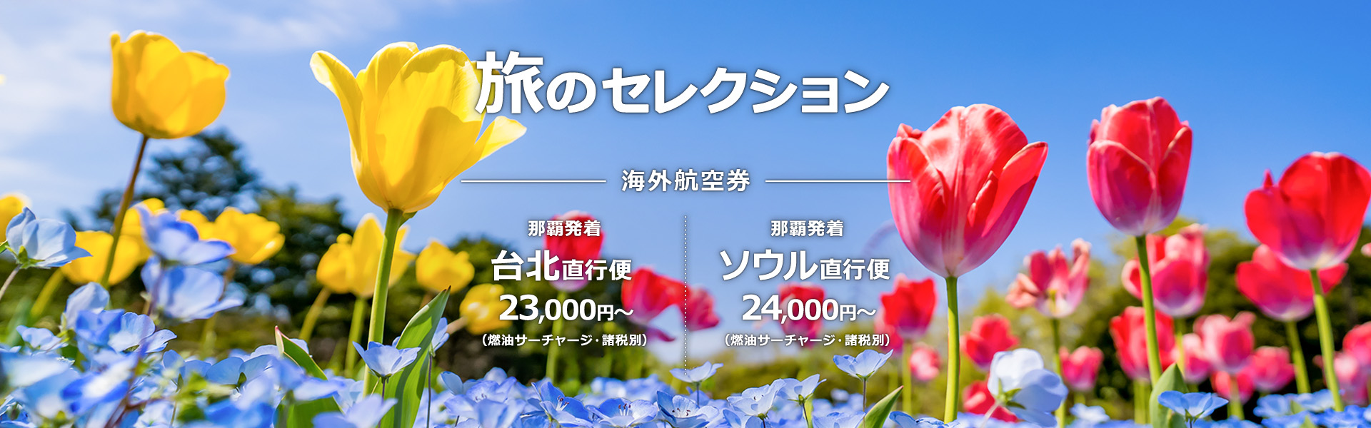 旅セレクション