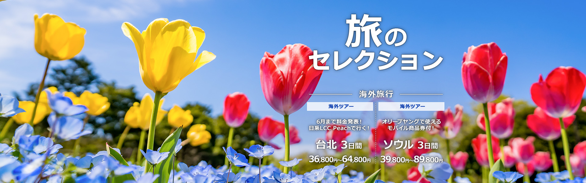 旅セレクション_海外