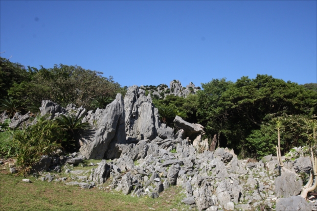 ２億年かけて作られた神々の巨大彫刻群「大石（だいせき）林山」