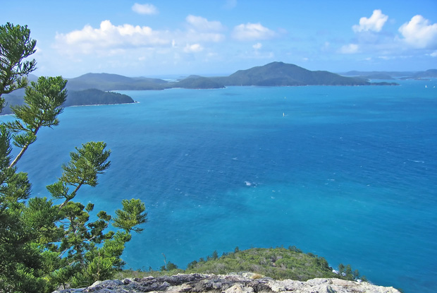 愛が深まる ハミルトン島のハートリーフ Tripiteasy