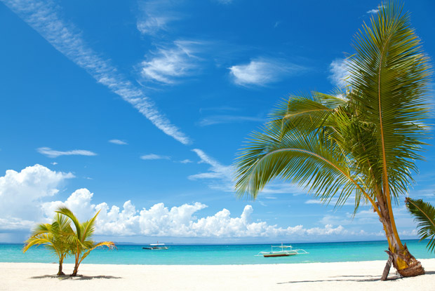 【夏間近】東南アジアの楽園 セブ島でダイビングという贅沢な夢をかなえる